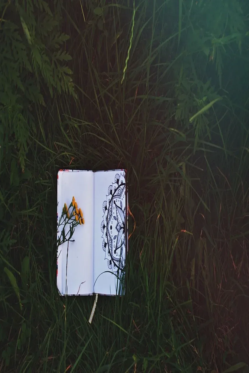 A diary kept in grass with sketches on it